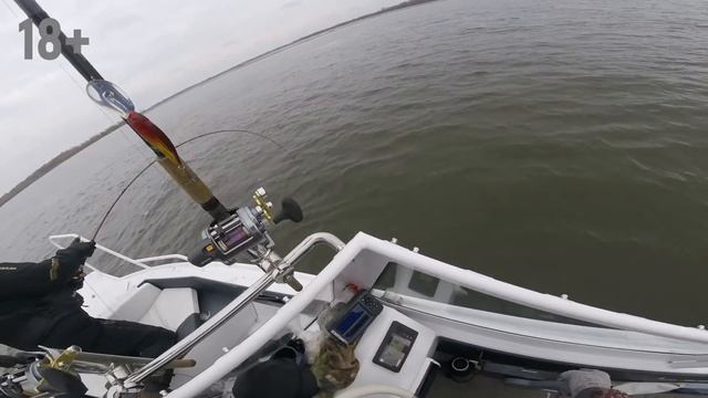 Рыбалка в Астрахани весенний сом смотреть онлайн