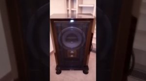 Hi-End Рупорная акустика Maxonic TW 1100