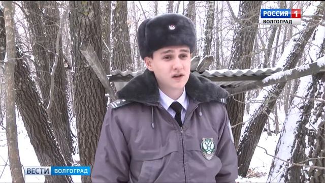 Ветеринарный контроль охотничьих хозяйств в Волгоградской области смотреть онлайн