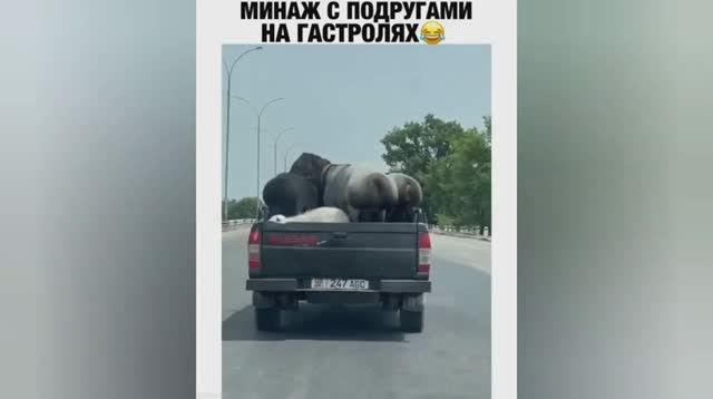 Смешные ролики №39
