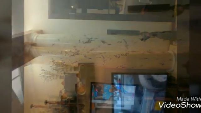 Евро ремонт квартир и домов смотреть онлайн