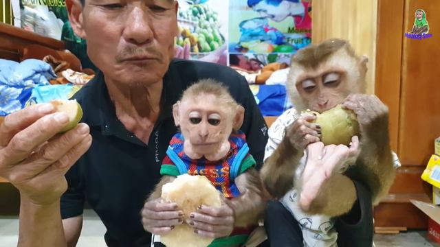 Beautiful memories of Sam boy's family смотреть онлайн