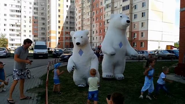 Медведи на улице смотреть онлайн