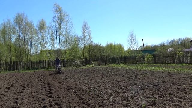 посадка картофеля с мотоблоком и обработка . часть 1 смотреть онлайн