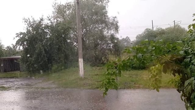 #Обо_всём //Лысые посадки, дождь и покупка для Персика. смотреть онлайн