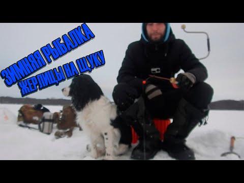 Зимняя Рыбалка\Жерлицы На Щуку\Окунь На Балансир смотреть онлайн