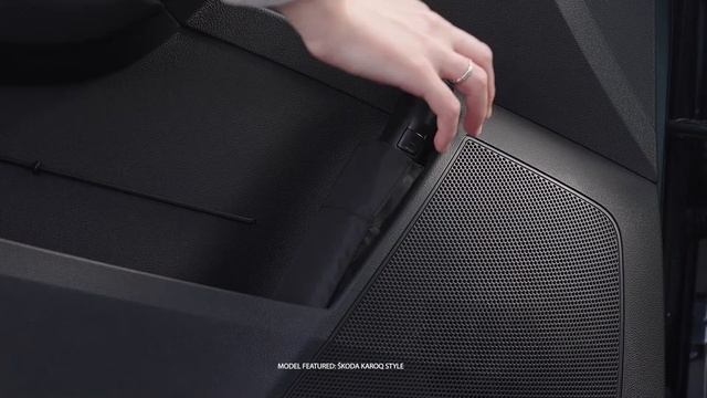 2021 ŠKODA KAROQ Style смотреть онлайн