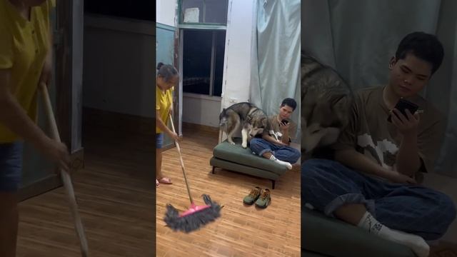 狗狗祟祟的狗子，爬了一小時就為這一刻，狗子：這潑天的富貴【梁彬家的汪星人】 смотреть онлайн