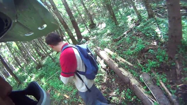 Поваленный лес и слетающие цепи смотреть онлайн