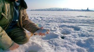 Дождался вечера и понеслось...Ловля плотвы зимой.Плотва на донку.Новая оснастка.