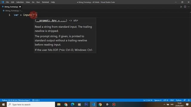 Program String Format - Python смотреть онлайн