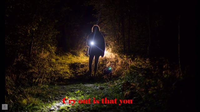 LYNN ANDERSON | Another Lonely Night смотреть онлайн