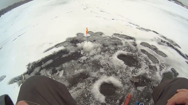 Рыбалка на РУЗСКОМ вдх. в "ЩЕРБИНКАХ"/ Рыбалка от ДУШИ!/ Зима тёплая - лёд крепкий! смотреть онлайн