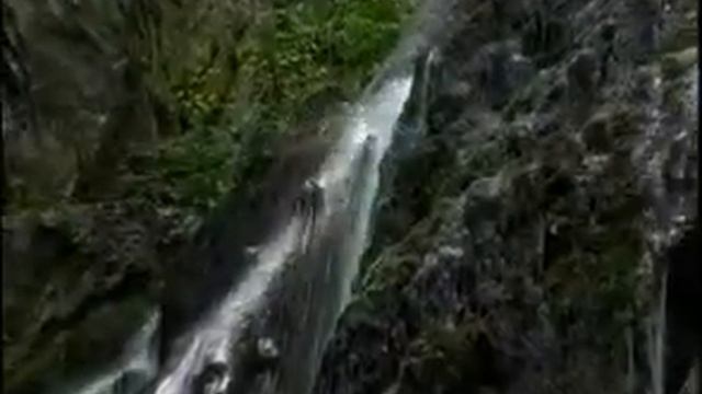 Cистема очистки воды Aqueena смотреть онлайн