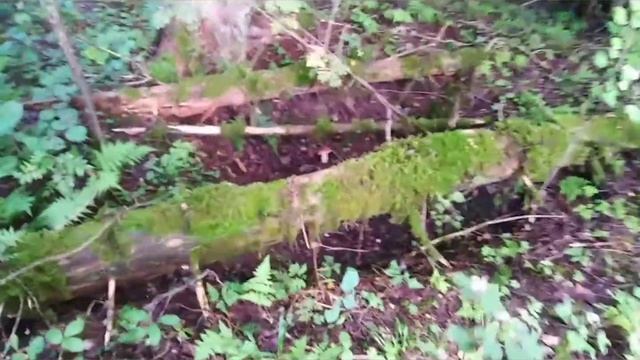 30 соток... Тихая охота в пятницу 13 ? смотреть онлайн