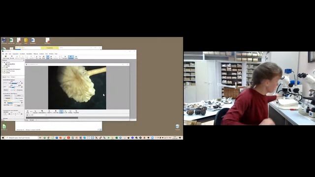 Мастер класс "Как снимать грибы" для Виртуальный Ботаник смотреть онлайн