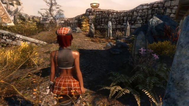 Skyrim SE walking смотреть онлайн