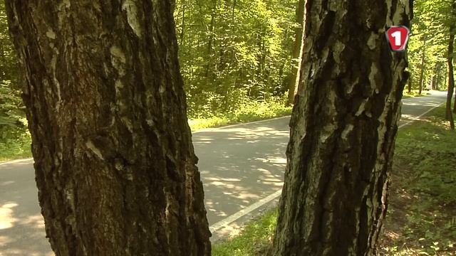 MG 6. "Первый тест" в HD. (УКР) смотреть онлайн