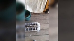 Поршня с проточкой на К4М