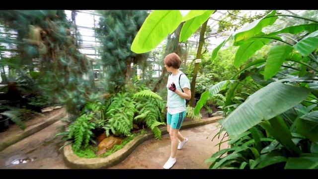 Главный ботанический сад (Москва) 2часть. смотреть онлайн