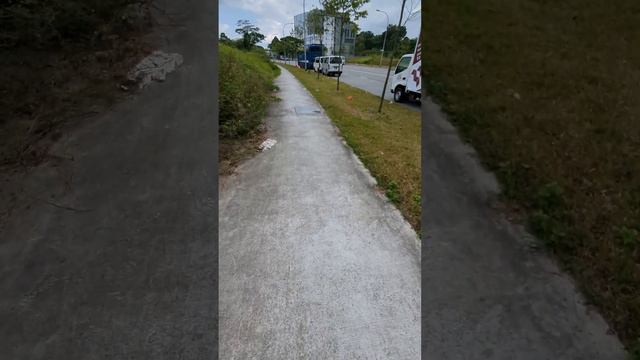 Петербург или Сингапур? Если бы я очнулся там я бы сразу не понял. Промзона города миллиардеров. смотреть онлайн