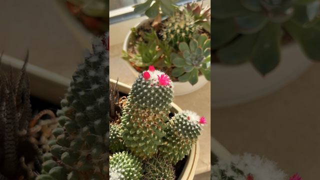 18-09-2024 смотреть онлайн