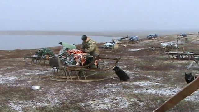 Первый осенний снег в Канинской тундре смотреть онлайн