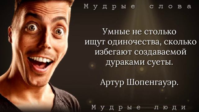 Цитаты про Дураков. Лучшие цитаты, афоризмы, мудрые мысли смотреть онлайн