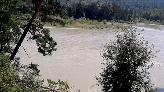 Река Катунь возле (Бирюзовой катуни) 20200719 смотреть онлайн