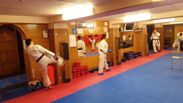 Макивара Камертон Шилова в каратэ WKF смотреть онлайн
