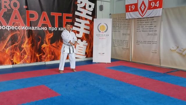 Heian Sandan #1. Kata and Bunkai. Full power and fast motion. Хейан Сандан #1. Ката и Бункай. смотреть онлайн