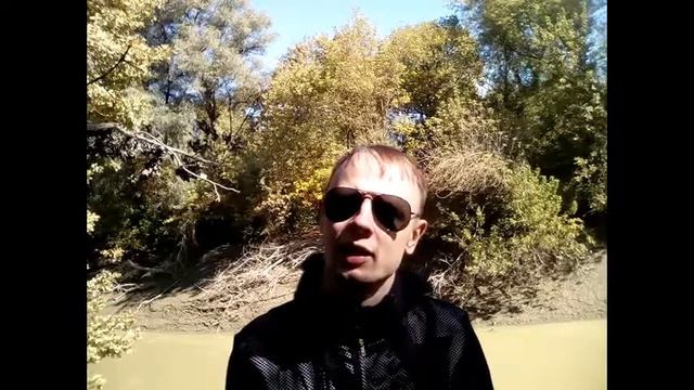 Вегетарианство #7. Витамин D. смотреть онлайн