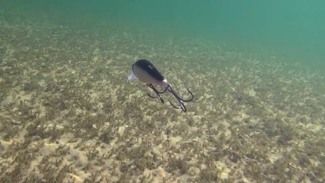 Воблер Strike Pro Jer O Minnow 180 (EG-045F)