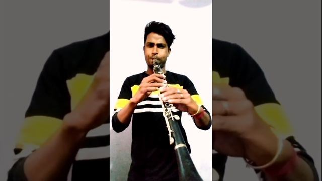 Hum Pyar Karne Wale | clarinet cover смотреть онлайн