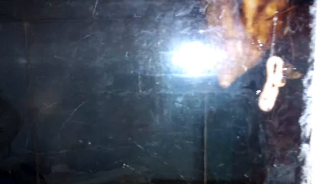 Улитка накакала смотреть онлайн