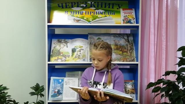 В. Половинкина читает Д. Н. Мамина-Сибиряка «Сказка О Молочке, овсяной Кашке и сером котишке Мурке» смотреть онлайн