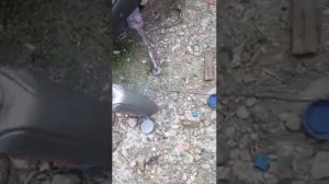 Как пропитать воздушный фильтр на скутере