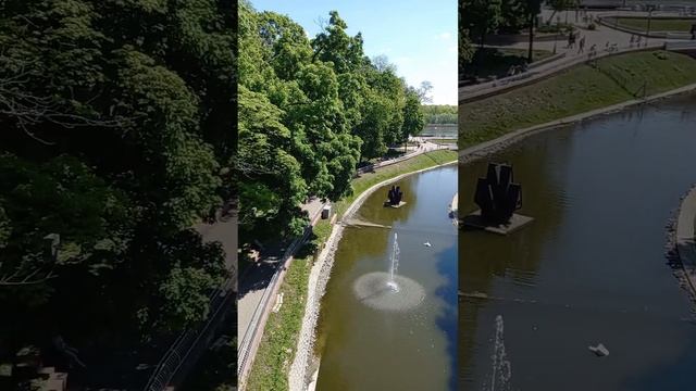 Когда рабочие поездки совмещаются с отдыхом) #беларусь #гомель #парк #набережнаягомель #набережная смотреть онлайн