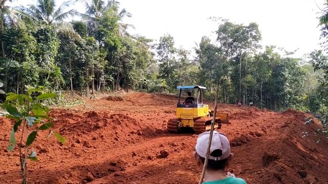 Bulldozer Komatsu D31P Leveling Ground for Broiler Chicken Close House смотреть онлайн