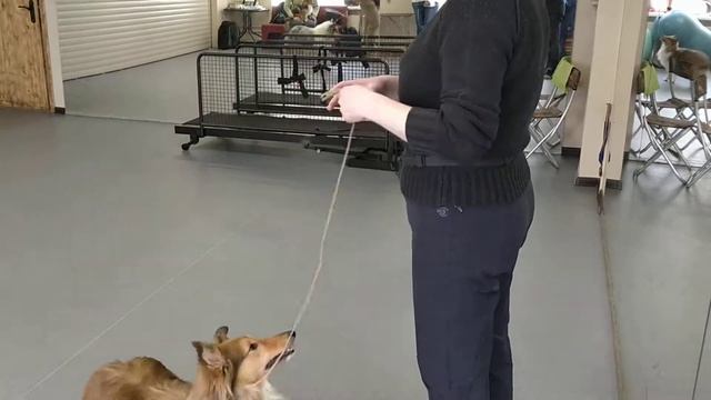 Рысь и иноходь смотреть онлайн