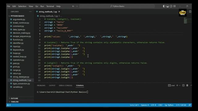 33. isalpha(), isdigit(), isalnum() methods in string python смотреть онлайн