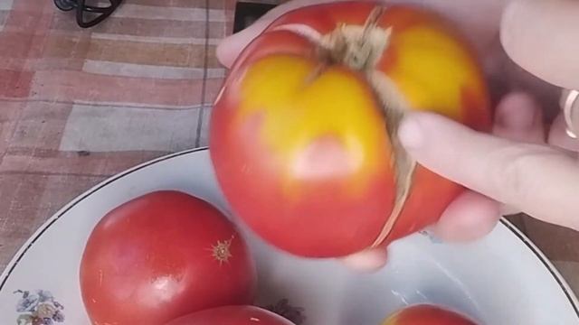 Коллекционный томат Бабушкино смотреть онлайн