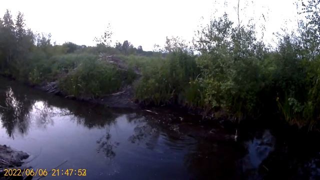 Охота на бобра с Pcp, быстрый фраг