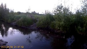 Охота на бобра с pcp, быстрый фраг