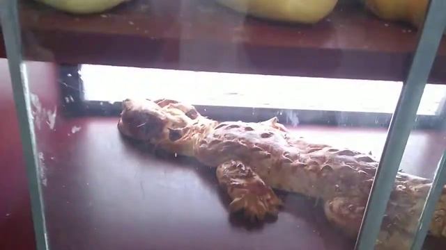 Вкусный Бразильский хлеб! смотреть онлайн