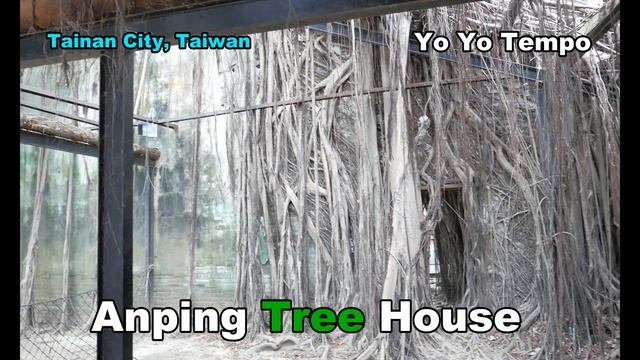 Anping Tree House - Tainan City, Taiwan смотреть онлайн