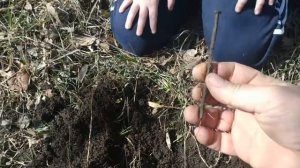 Первый клад Мишки Журавлева!