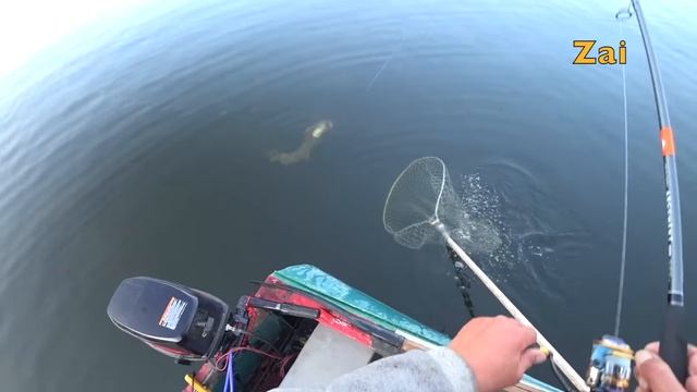 ЩУКА НА ЯМАХ. ТЕСТ спиннинга NARVAL ARGUMENT 82HH.