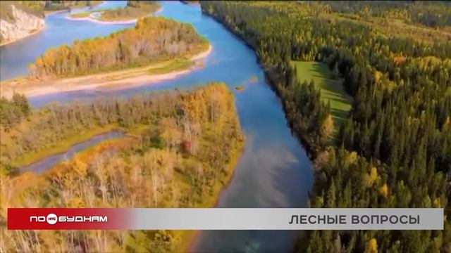 Более 8 миллионов рублей составляют долги по зарплате работникам регионального Лесхоза смотреть онлайн