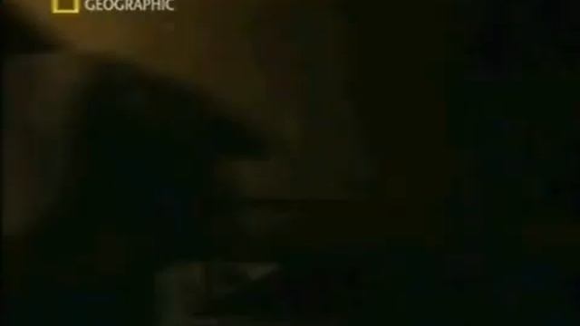 Скрытые Сокровища древнего Египта смотреть онлайн